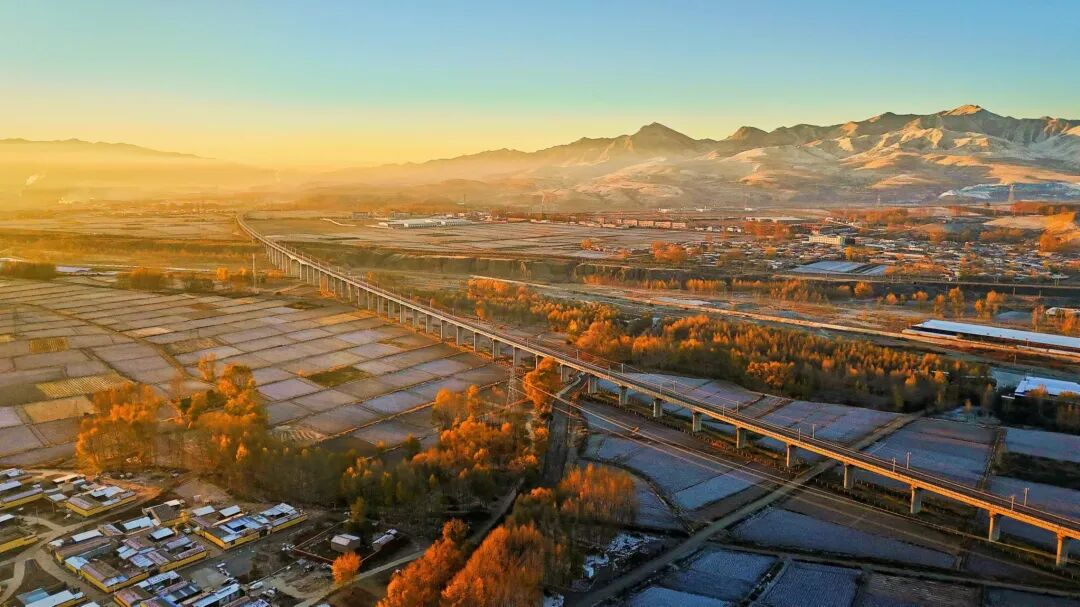 图片6.png 图片6.png