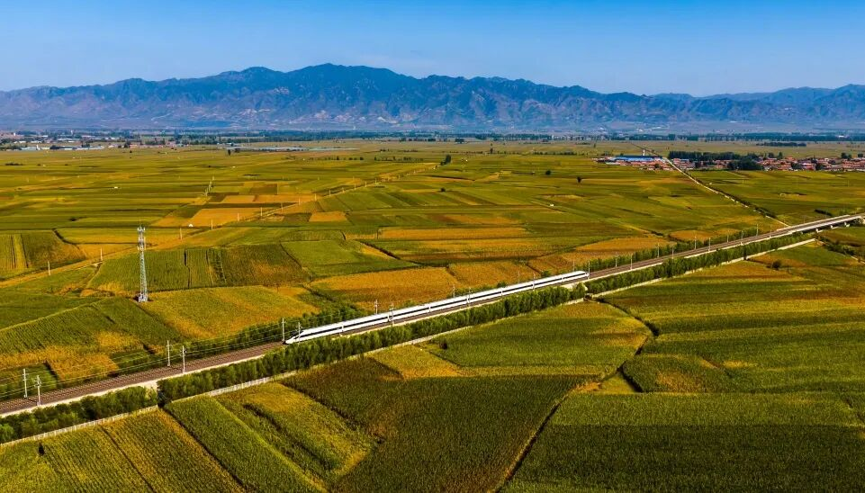 图片10.png 图片10.png