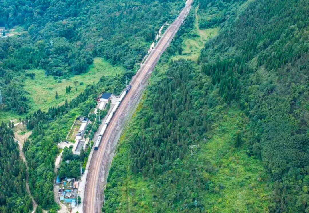 图片15.png 图片15.png